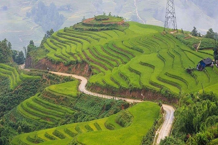 Sapa 3-Day Trek: Ta Van Homestay, Rice Terraces & Muong Hoa Valley photo 2