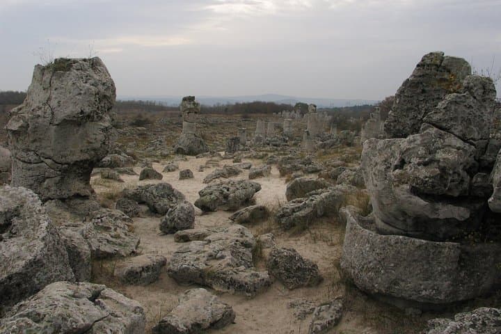 Varna–Beloslav Lake Birdwatching & Cultural Day Tour photo 4