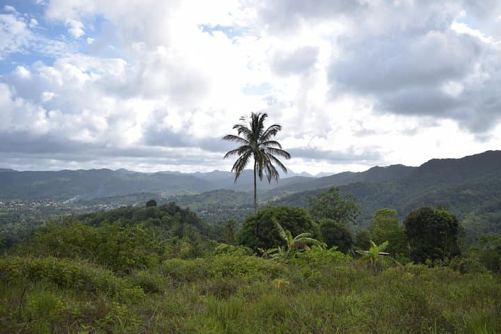 Hike to Three Waterfalls at Natureworld St. Lucia — Rainforest Trail Guide photo 3
