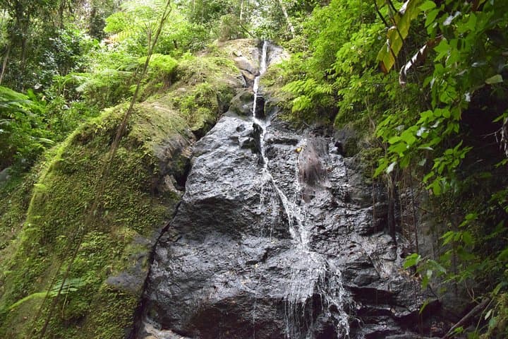 Hike to Three Waterfalls at Natureworld St. Lucia — Rainforest Trail Guide photo 5