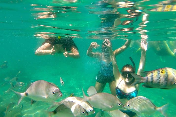 Trindade Beach Trek & Snorkeling: Paraty's Hidden Coves and Natural Pools