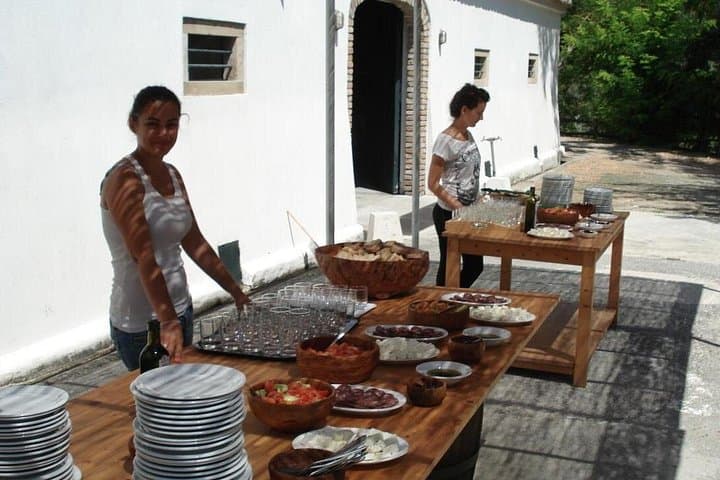 Theotoky Estate Wine & Olive Tasting — Corfu Countryside Tour photo 4