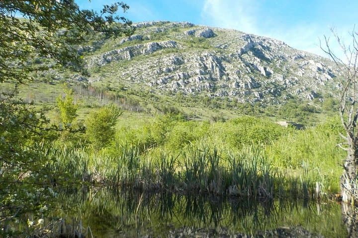 One-day Birding Around Sofia: Vitosha Mountain & Dragoman Marsh Birdwatching photo 4