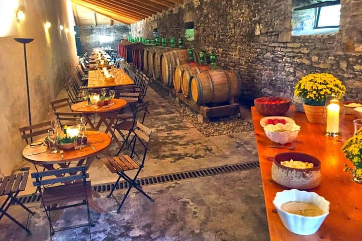Theotoky Estate Wine & Olive Tasting — Corfu Countryside Tour