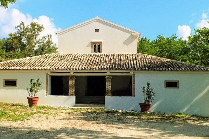 Theotoky Estate Wine & Olive Tasting — Corfu Countryside Tour photo 2