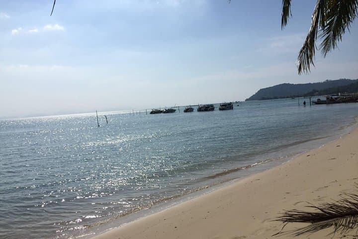 Essence of Samui Private Shore Excursion from Nathon Port — Big Buddha, Hin Ta Hin Yai & Beach Lunch photo 2