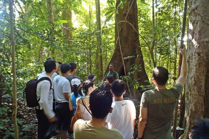 Morning Jungle Trek in Langkawi: 3-Hour Guided Rainforest Hike