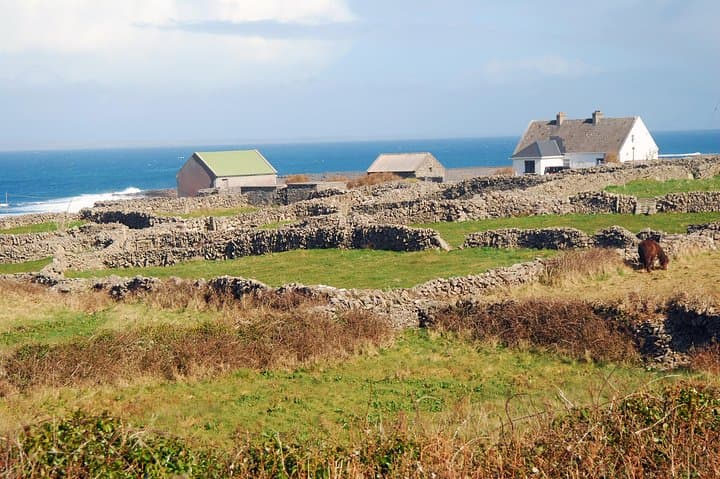 Aran Islands, Cliffs of Moher & Doolin Cruise: Day Trip from Galway photo 6