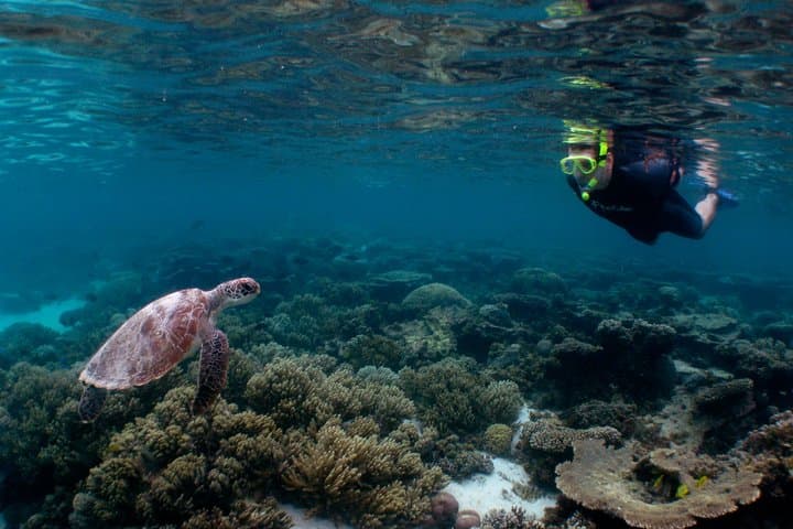 Three-Night Ningaloo Reef Snorkel & Dive Getaway from Coral Bay