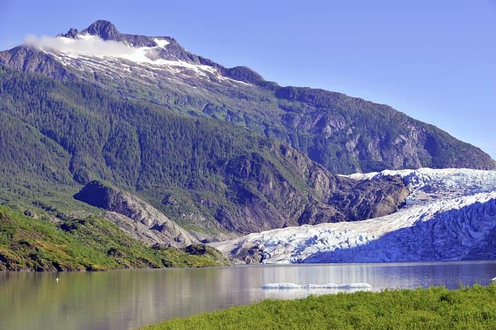 Exploring Mendenhall Glacier: A Convenient Trolley Tour From Juneau's Cruise Dock