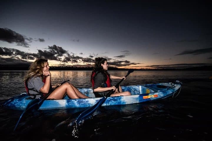 Kayak the Laguna Grande Bioluminescent Bay: Night Paddle from San Juan