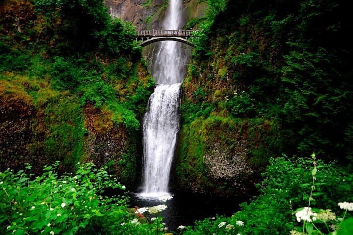 Columbia River Gorge Waterfalls and Mt. Hood Full-Day Tour from Portland photo 5