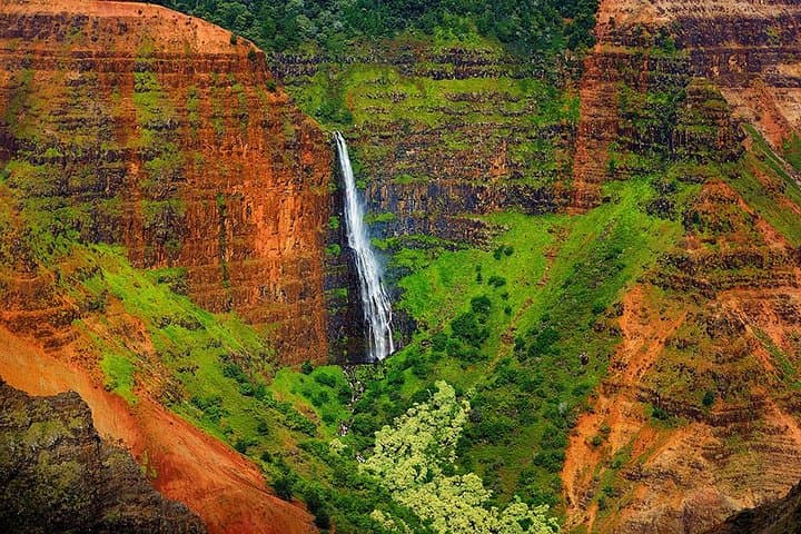 Oahu to Kauai Day Trip: Waimea Canyon, Wailua River & Fern Grotto