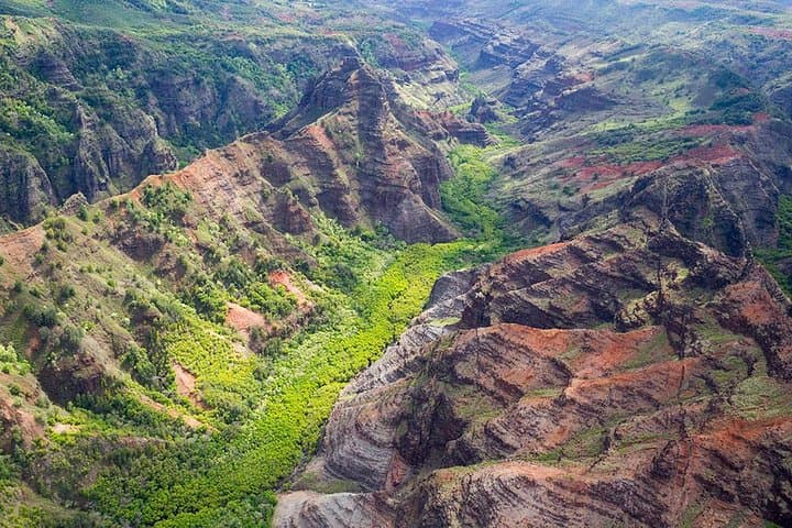 Oahu to Kauai Day Trip: Waimea Canyon, Wailua River & Fern Grotto photo 3