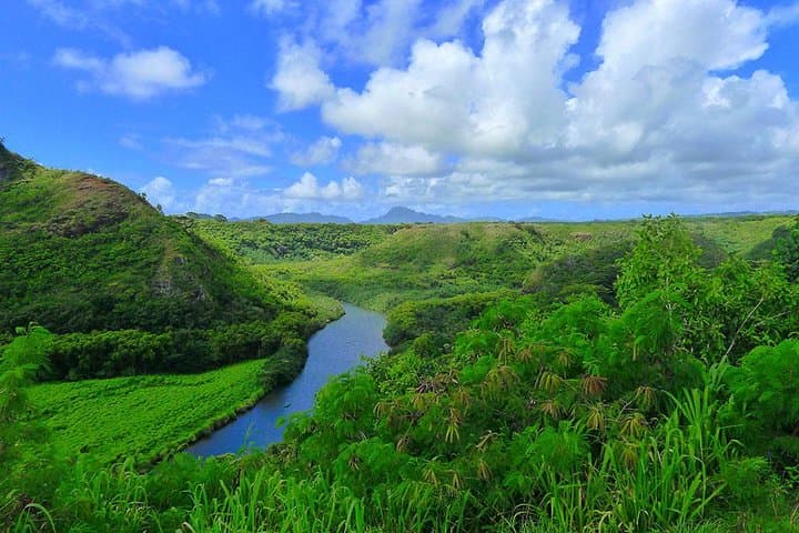 Oahu to Kauai Day Trip: Waimea Canyon, Wailua River & Fern Grotto photo 4
