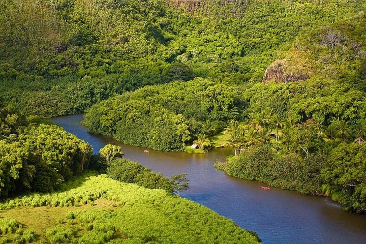 Oahu to Kauai Day Trip: Waimea Canyon, Wailua River & Fern Grotto photo 5