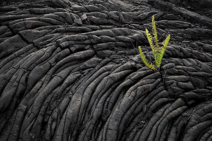 Explore Hawaii Volcanoes National Park on a Day Trip from Oahu to Hilo photo 5
