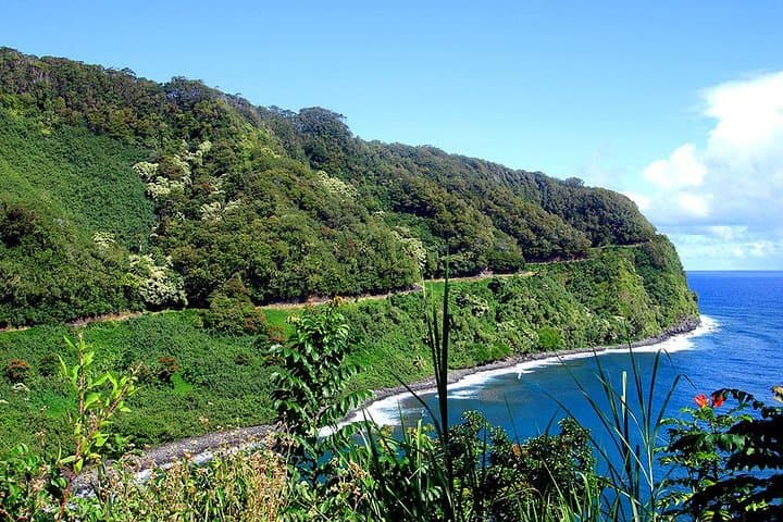 Road to Hana Adventure: Scenic Maui Day Trip with Lunch photo 4