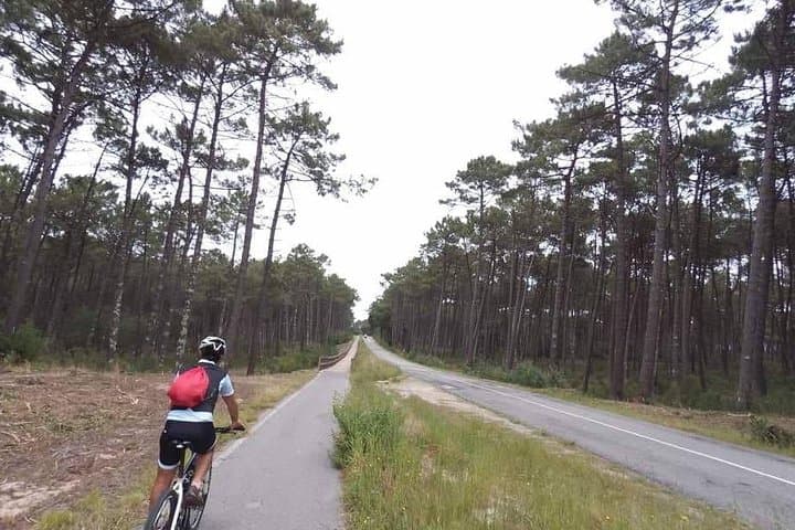 Porto to Gaia Private Bike Tour — Ride the Duck Side of Porto photo 5
