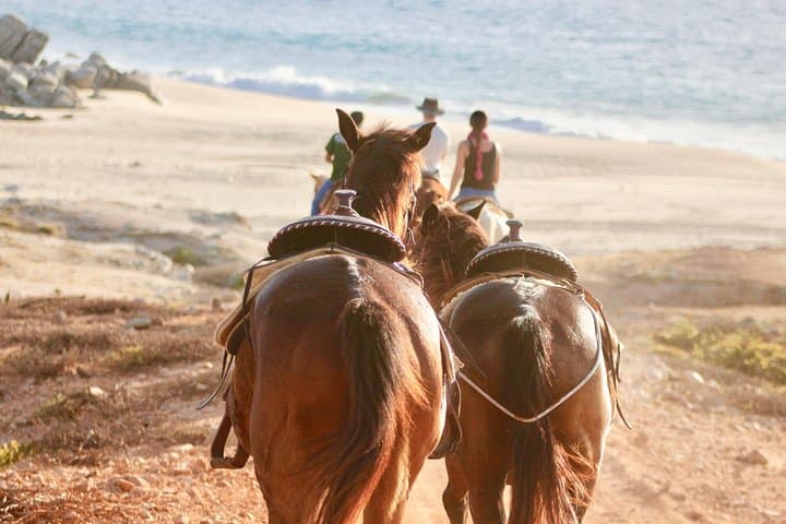 Pacific Coastal Horseback Riding Tour in Cabo San Lucas — Ocean Cliffs & Desert Trails photo 4