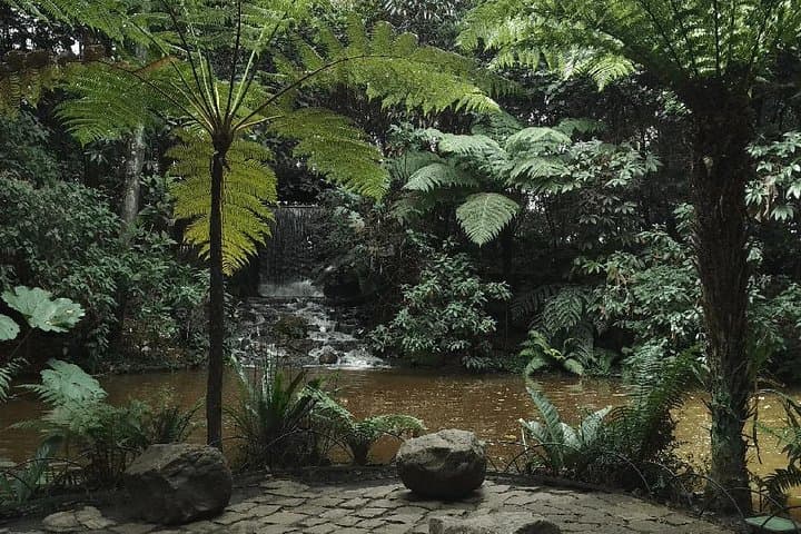 Explore Bogotá's José Celestino Mutis Botanical Garden — 4-Hour Private Tour photo 5