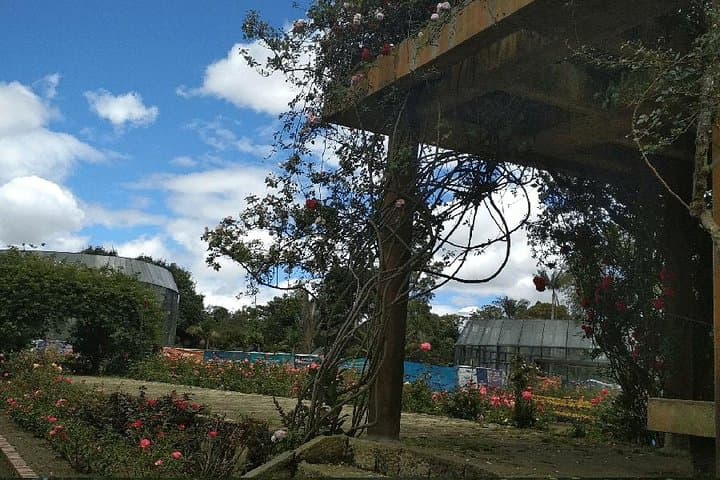 Explore Bogotá's José Celestino Mutis Botanical Garden — 4-Hour Private Tour photo 4