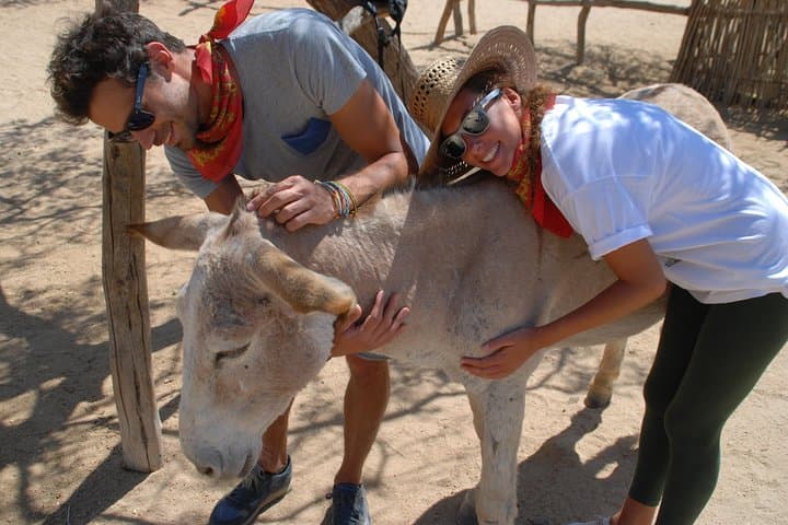 Sunset Pacific Donkey Hiking Tour at Rancho Carisuva — Donkey-Led Hike Near San José del Cabo photo 2