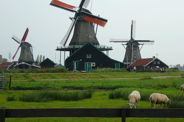 Half-Day Private Tour to Zaanse Schans Windmills, Cheese & Volendam from Amsterdam photo 5