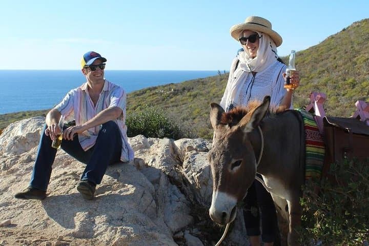 Sunset Pacific Donkey Hiking Tour at Rancho Carisuva — Donkey-Led Hike Near San José del Cabo photo 4