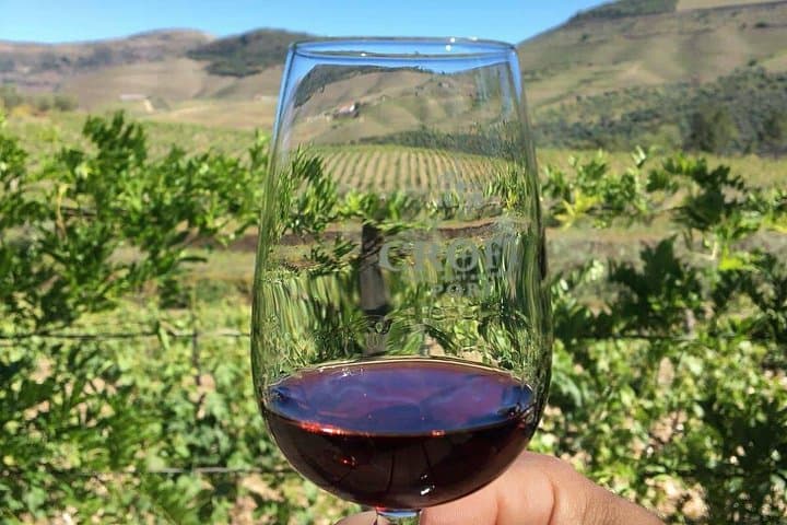 Private Day Trip to Douro Valley from Porto — Wine Tastings & Scenic Lookouts photo 1