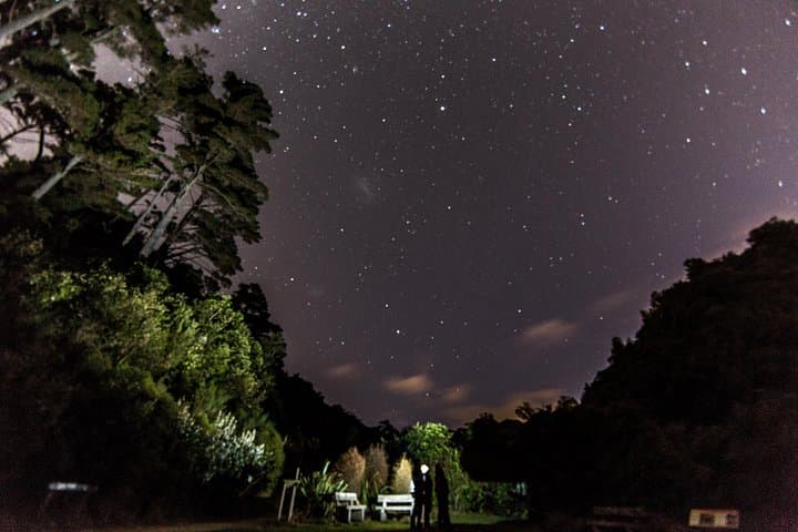 Zealandia by Night: Guided Eco Wildlife Walk in Wellington photo 2