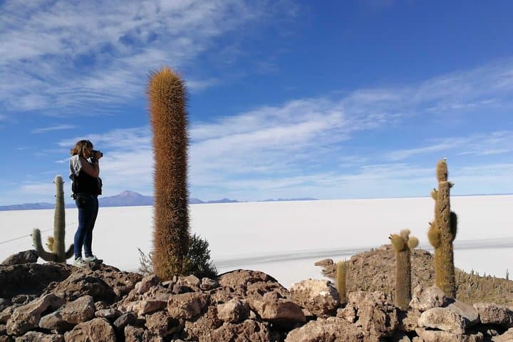 4-Day La Paz to Uyuni Salt Flat Adventure: Tiwanaku, Incahuasi & Colchani