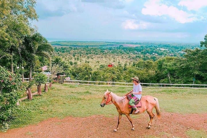 Puerto Princesa City Tour: Palawan Highlights, Wildlife & Markets