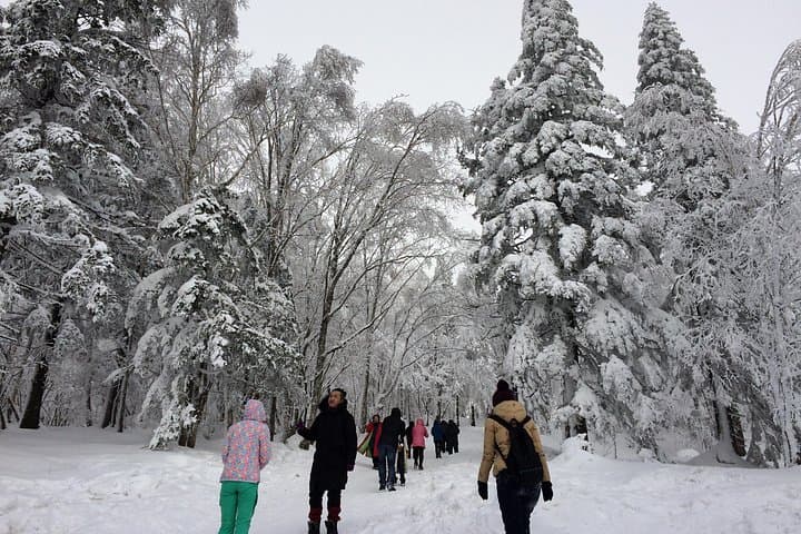 3-Day Snow Trekking Tour to China Snow Town from Harbin photo 5