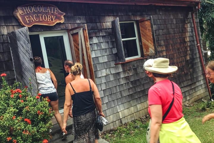 Belmont Estate & Grand Etang: Chocolate, Waterfalls and Rainforest on a Half-Day Tour