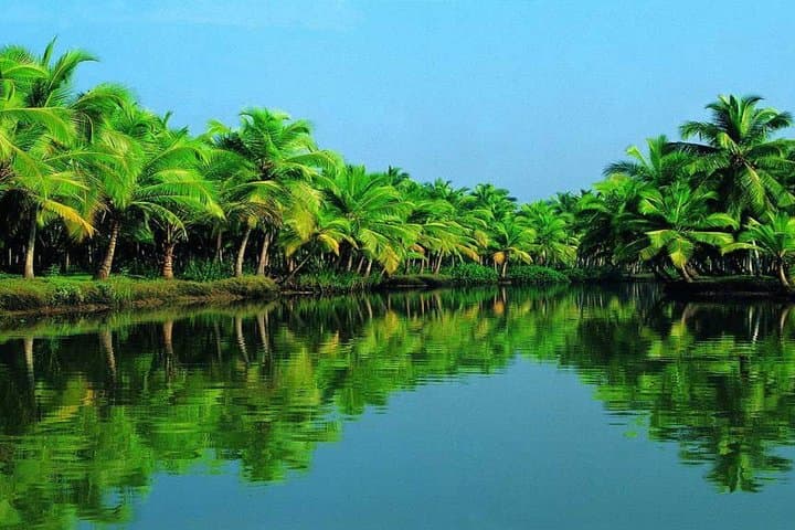 Saigon to Phnom Penh: 3-Day Mekong Delta & Floating Market Tour photo 2