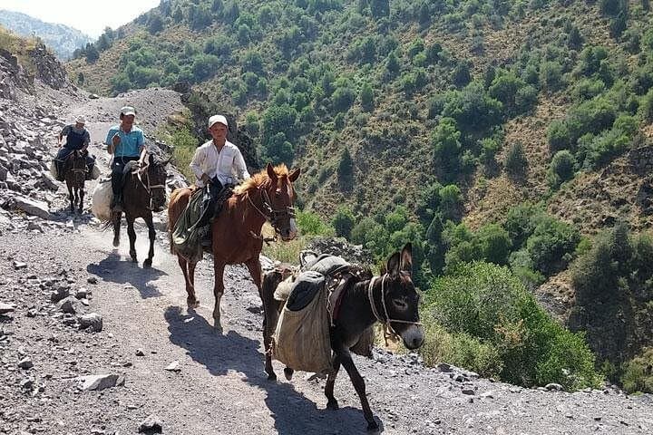3-Day Chimgan Trek: Western Tien Shan Multi-Day Hike from Tashkent photo 3