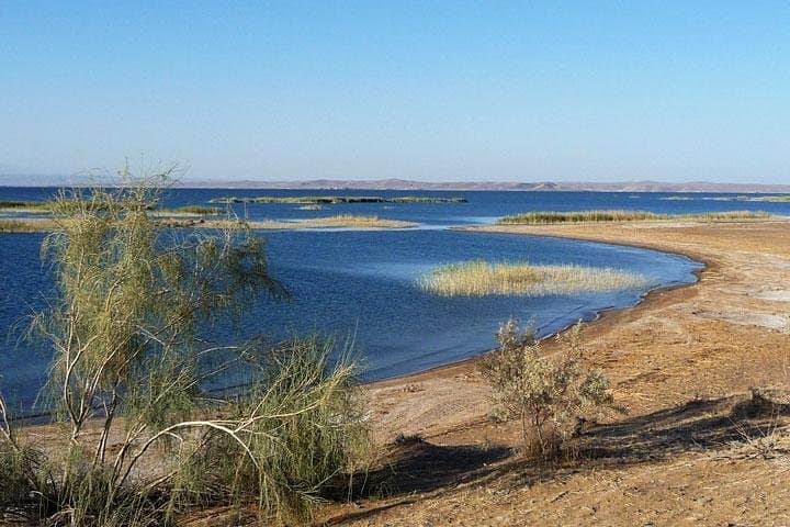 2-Day Desert Yurt Camp Tour from Bukhara: Nurata, Lake Aydarkul & Camel Ride photo 3