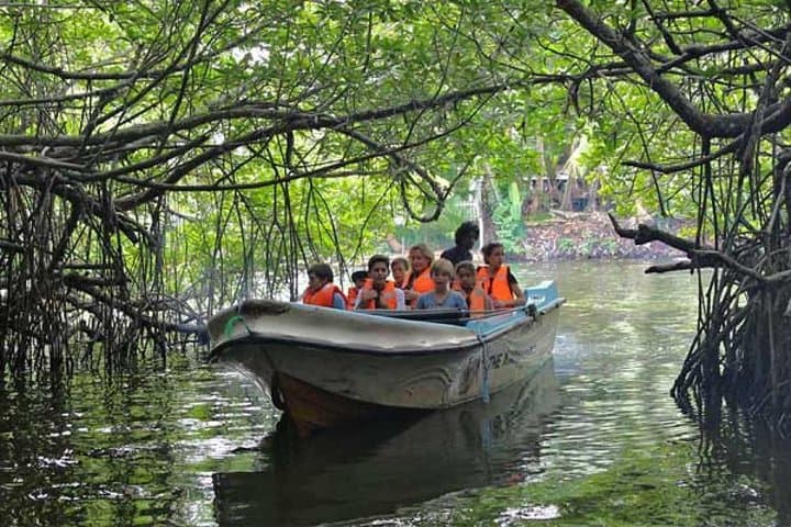 Galle Fort & Bentota Day Tour with Madu River Safari from Colombo photo 3
