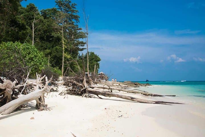 Phi Phi & Bamboo Islands Speedboat Day Trip: Maya Bay, Pileh Lagoon & Snorkeling photo 2