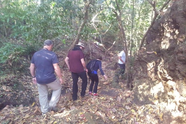 Kbal Spean & Banteay Srei: One-Day Private Jungle Walk from Siem Reap photo 1