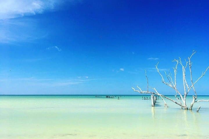 Holbox Day Trip from Cancun: Boat to Cenotes, Passion Island & Beach Bikes photo 3