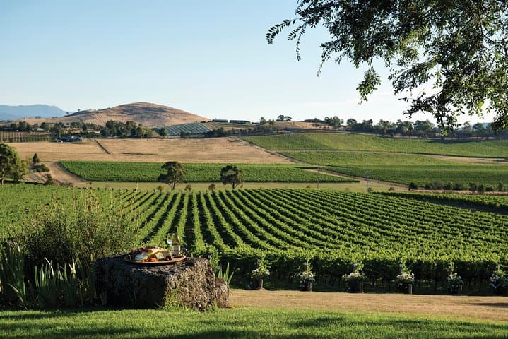 Melbourne Shore Excursion: Moonlit Sanctuary & Mornington Peninsula Wine Tour