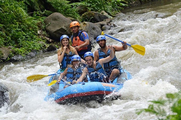 Bali Ayung River 10km Rafting with Lunch — Ubud Whitewater Adventure