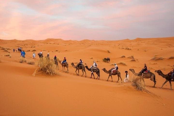 Morocco Imperial Cities & Sahara Overland: 11-Day Tour from Casablanca
