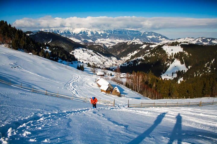 Snowshoeing Near Brașov: Into the White Guided Tour