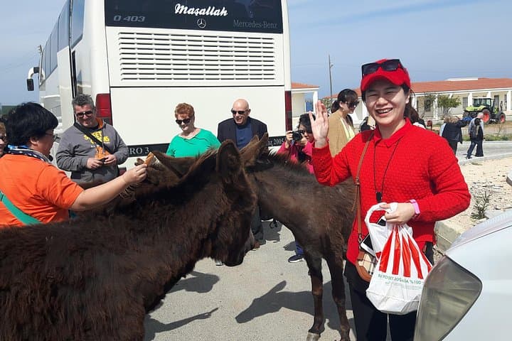 Karpaz Peninsula Day Tour — Wild Donkeys, Apostolos Andreas & Mediterranean Swim photo 2