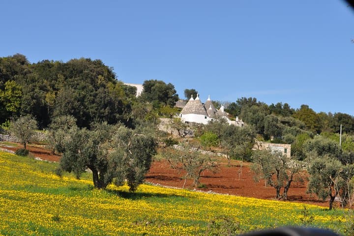 Bari to Alberobello and Matera: One-Day UNESCO Trulli and Sassi Tour photo 2