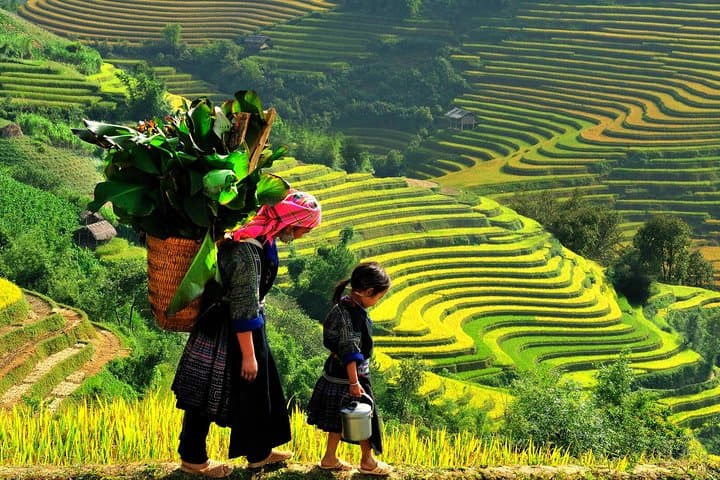 Sa Pa 2-Day Trek and Homestay from Hanoi: Muong Hoa Valley & Local Villages