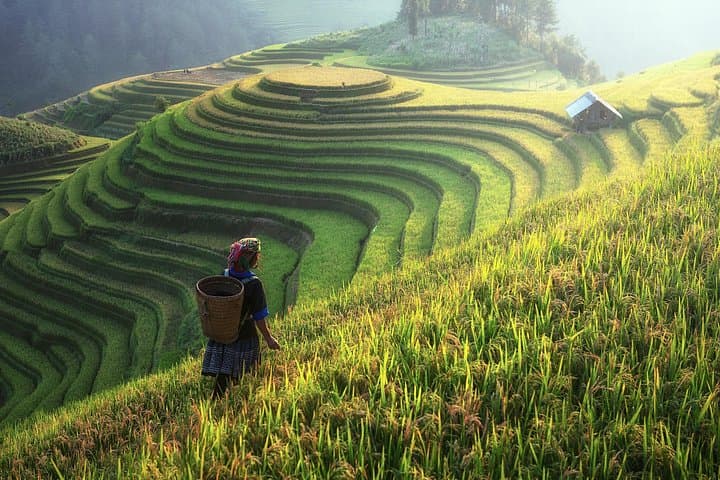 3-Day Sapa Trekking: Homestay Stays & Rice Terrace Trails from Hanoi photo 1